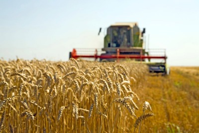 Tractor in the field 